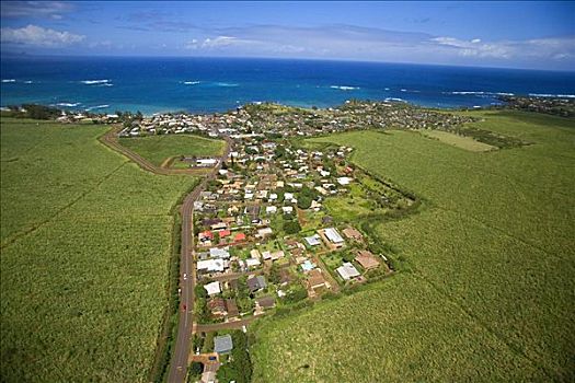 夏威夷,毛伊岛,俯视,老,种植园,城镇,北海岸
