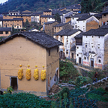 徽州土楼场景