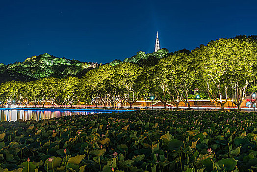 中国杭州西湖夜景醉游人