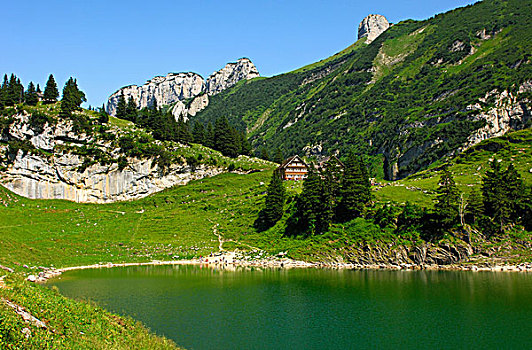 山间旅店,自然风光,湖,阿彭策尔,罗得斯,瑞士,欧洲
