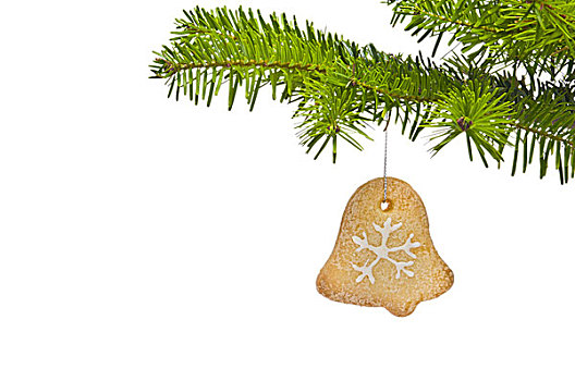 枝条,圣诞树,装饰,饼干