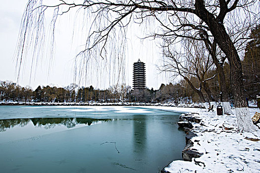 北京大学雪景
