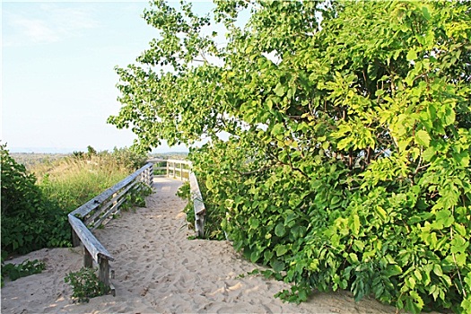 沙丘,密歇根湖,美国