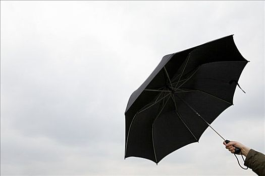 人,拿着,黑色,伞,雨