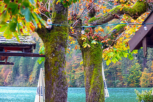 德国美丽的国王湖湖边的餐厅与洋伞