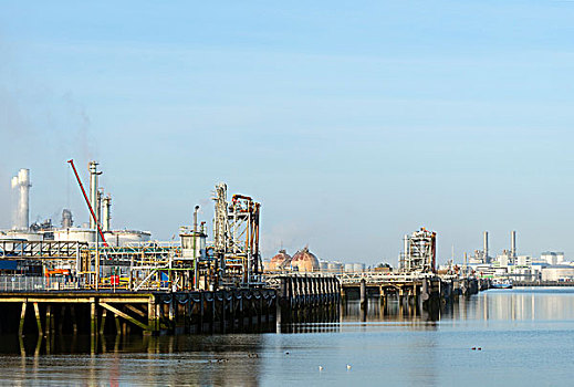 港口,油,精炼厂,鹿特丹,荷兰