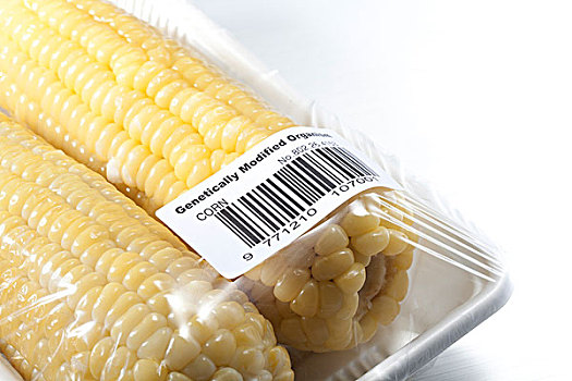 玉米,包装,基因,标签