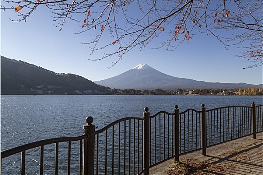 山,富士山,秋天,日本
