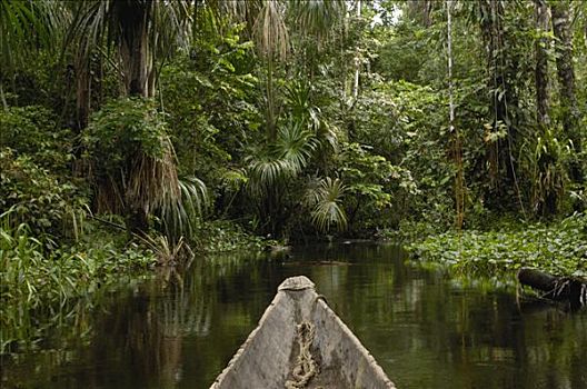 独木舟,河流,国家公园,生物保护区,亚马逊雨林,厄瓜多尔