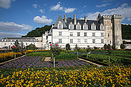 法国,中心,卢瓦尔河,维朗德里城堡,菜园
