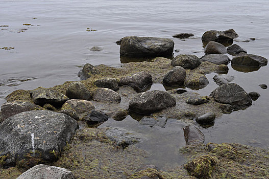 石头,水,海岸