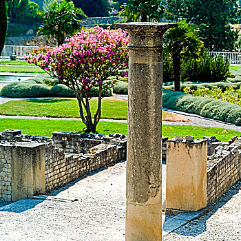 柱子,花,树,罗马,遗址,普罗旺斯,法国