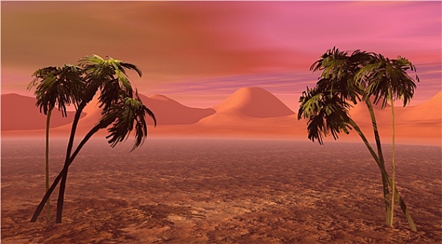 岛屿,两个,棕榈树,粉色,风景