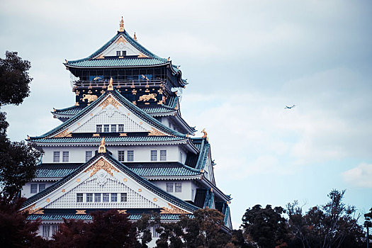 日本大阪大阪城