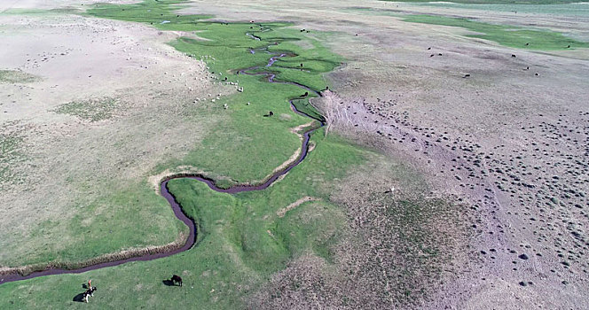 新疆哈密,美丽的沙漠河曲湿地