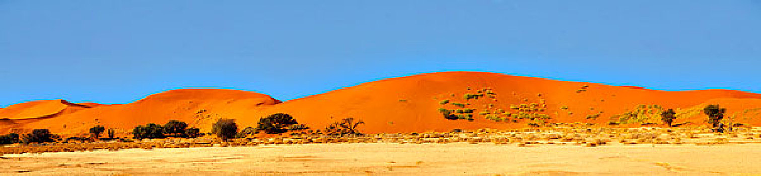 全景,沙丘,索苏维来地区,纳米布沙漠,纳米比诺克陆夫国家公园,纳米比亚,非洲