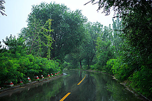 北京永定河左堤路,雨后路面