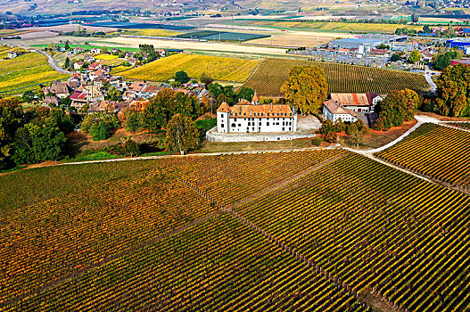 图像,乡村,城堡,围绕,葡萄园,沃州,瑞士,欧洲