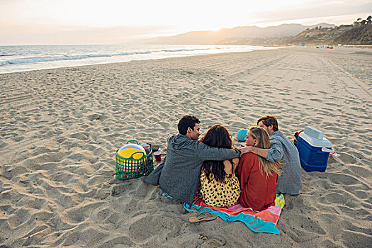群体,朋友,野餐,海滩,后视图