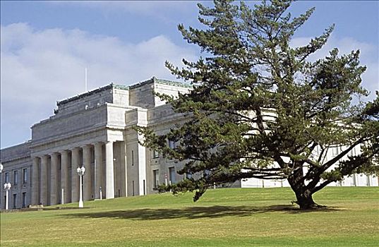 新西兰,奥克兰,公园,战争纪念碑,博物馆
