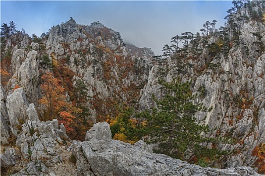 峡谷,罗马尼亚
