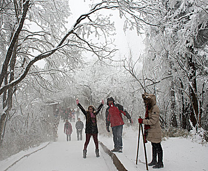 四川,峨眉山,冰雪雾凇,徐学哲摄影,尼康,年,月