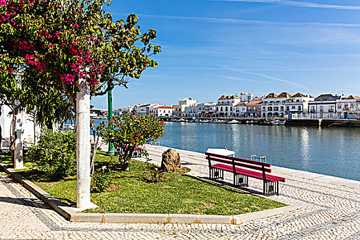 红色,长椅,盛开,河边,公园,河,老城,背景,塔维拉,阿尔加维,葡萄牙