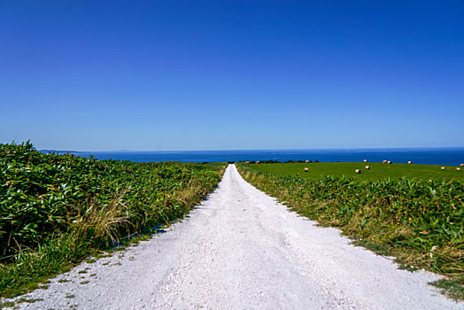 白色,道路