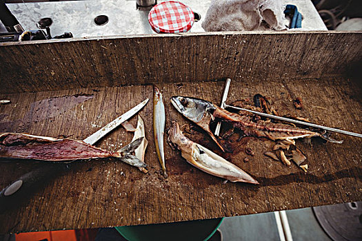 肉片,鱼,桌上,船