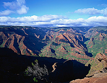 威美亚峡谷,考艾岛,夏威夷,美国
