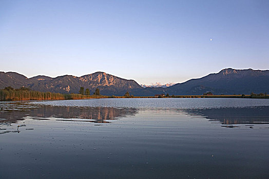 湖,靠近,山,高山,巴伐利亚,德国