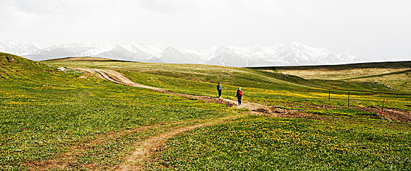 新疆伊犁草原风光