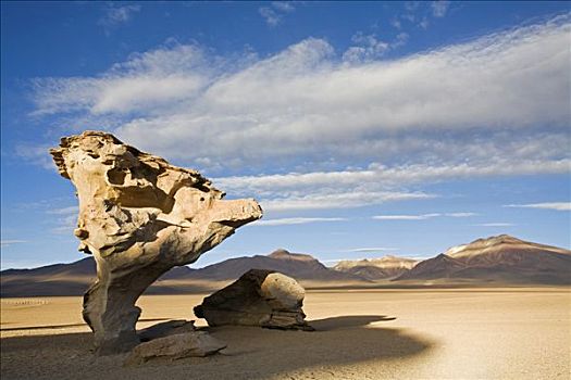 石头,第一,晨光,高原,玻利维亚,南美