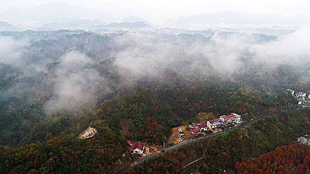 云雾飘渺,层林尽染