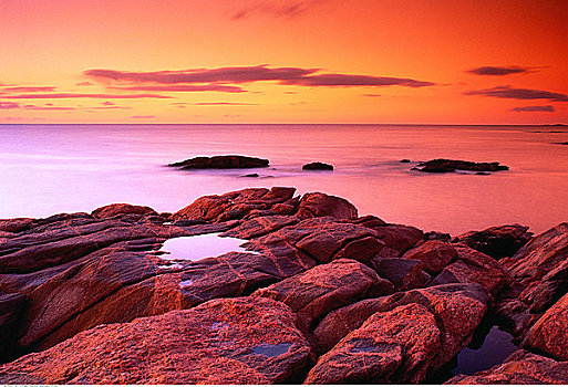 日出,绿色,小湾,新斯科舍省,加拿大