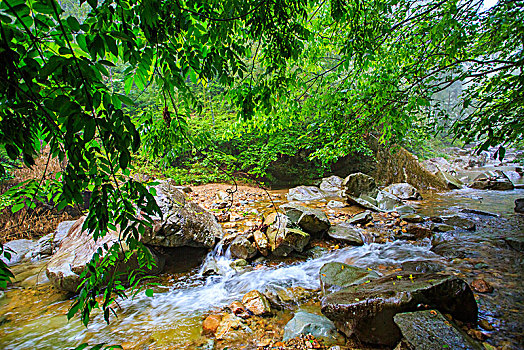 石头,鹅卵石,小溪,山石,山泉