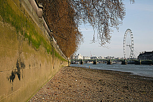 俯视,泰晤士河,威斯敏斯特桥,伦敦眼,威斯敏斯特,伦敦,英国