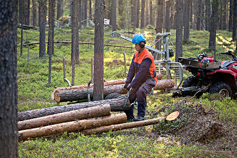 伐木工人_树林_高清图片_全景视觉