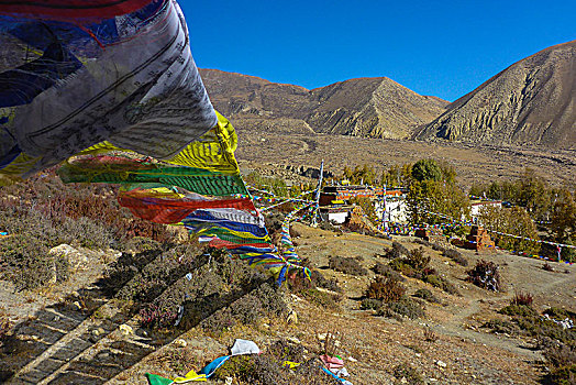 尼泊尔,喜马拉雅山,山,地区,安纳普尔纳峰,电路,跋涉,喇嘛寺,寺院