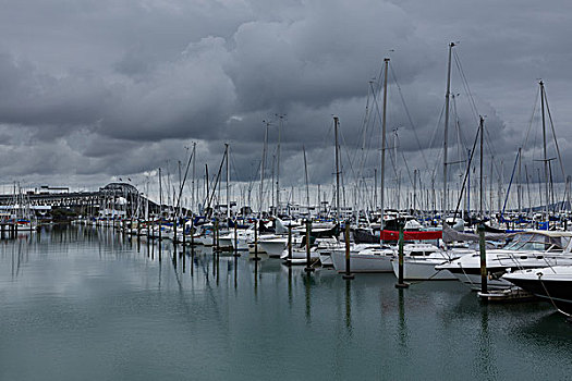 新西兰奥克兰帆船港口