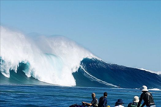 夏威夷,毛伊岛,颚部,冲浪,巨大,波浪,观众,水,看