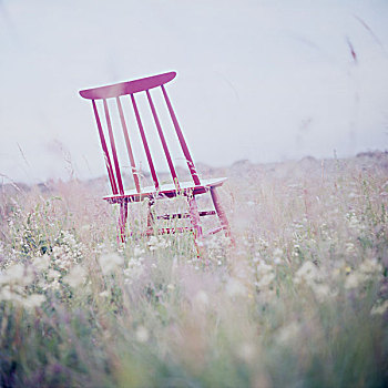 红色,椅子,草地