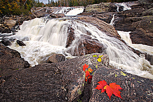 秋叶,旁侧,瀑布,沙子,河,小路,苏必利尔湖省立公园,大湖区,安大略省,加拿大