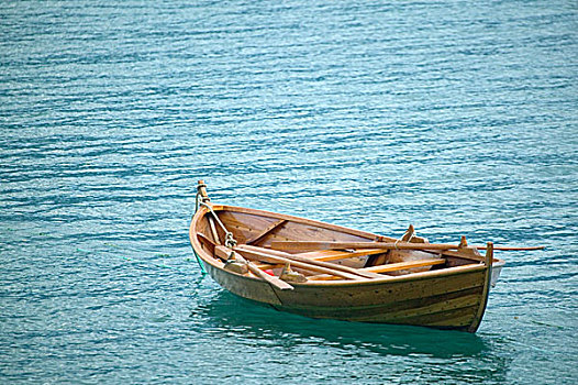 传统,划桨船,挪威,松恩峡湾,南方,峡湾