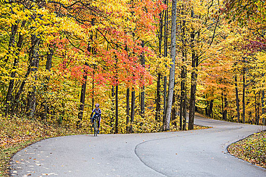 道路,骑自行车,褐色,州立公园,印地安那,美国