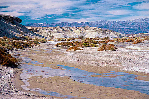 美国,加利福尼亚,死亡谷国家公园,盐,溪流