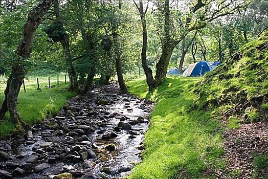 帐篷,河流