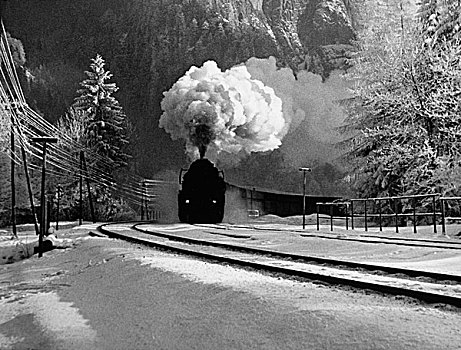 蒸汽机,列车,冬天,瑞士