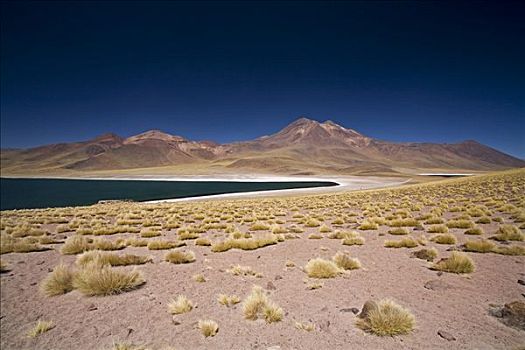 泻湖,山峦,高原,智利,南美