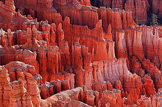 怪岩柱,排列,日出,布莱斯峡谷国家公园,犹他,美国